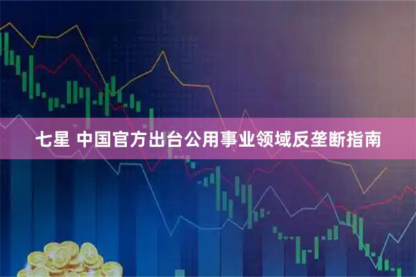 七星 中国官方出台公用事业领域反垄断指南